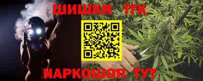 индика Обь