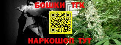 индика Обь