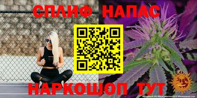 индика Обь
