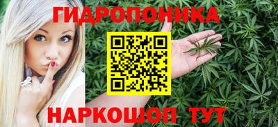 индика Обь