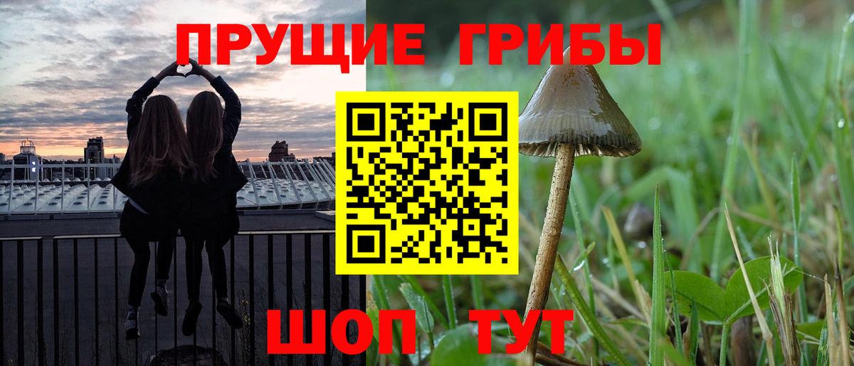 Сегежа  Псилоцибиновые грибы GOLDEN TEACHER  Вход с VPN 