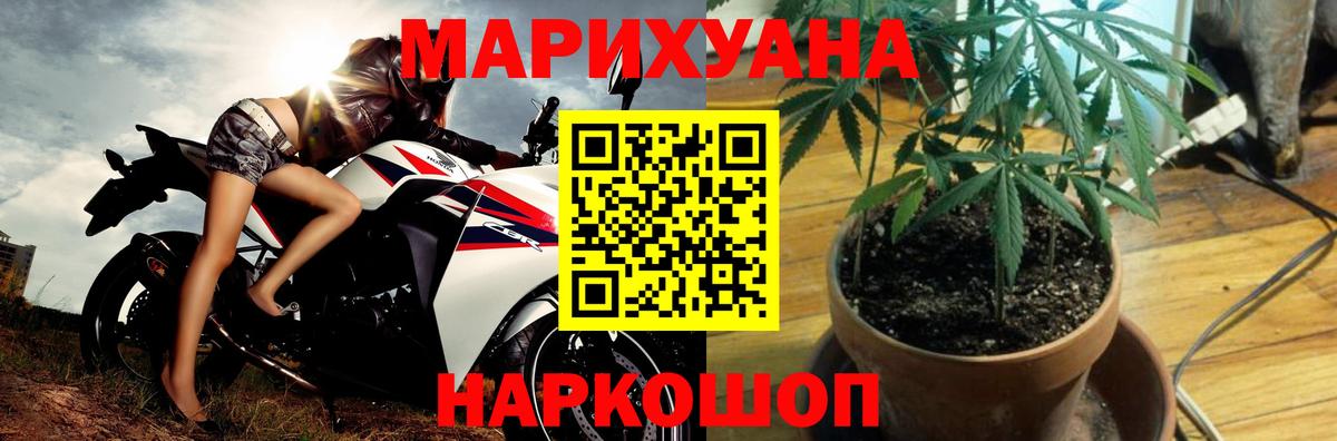 Каннабис White Widow  Вход с VPN  Сегежа  Бошки Шишки Bruce Banner  МАРИХУАНА план  Бошки марихуана план 